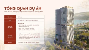 Bảng tổng quan dự án Q'Terra Quy Nhơn nêu vị trí, cơ cấu 864 căn hộ và pháp lý